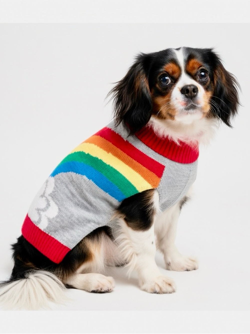 HARRY BARKER Rainbow Knit Mock Turtleneck Dog Sweater